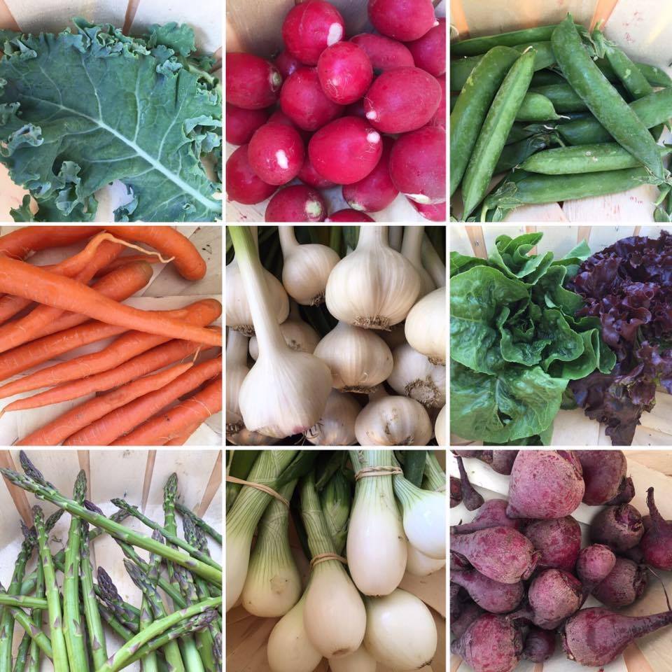 Michelle's Market - Order Vegetables Calgary - Farm Fresh