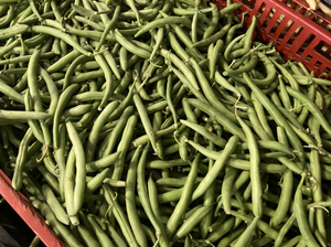 Green Beans (0.9 lb bag)