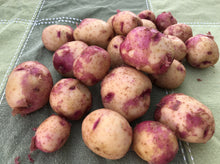Load image into Gallery viewer, Michelle&#39;s Market Calgary, Baby Red Potatoes - Order online
