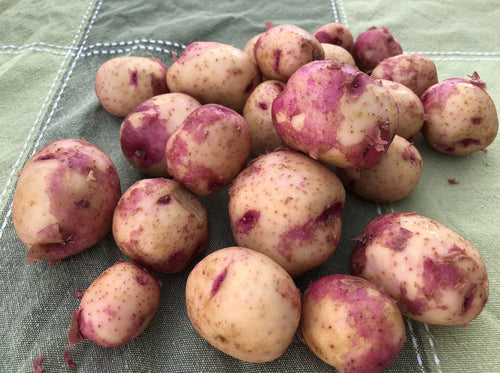 Michelle's Market Calgary, Baby Red Potatoes - Order online