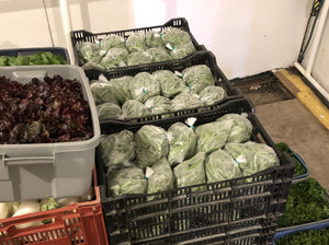 Michelle's Market Calgary, Fresh Garden Peas Packaged - Order online